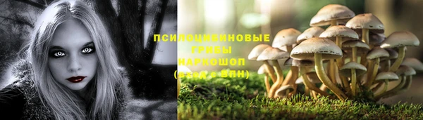 прущая мука Магас