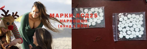 гашик Майский