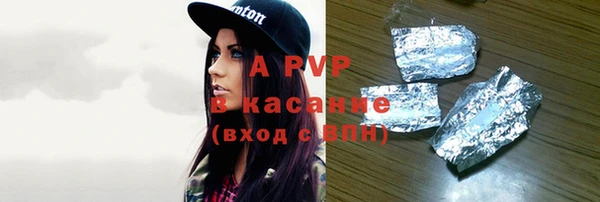 гашик Майский