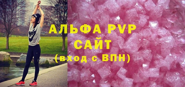 гашик Майский