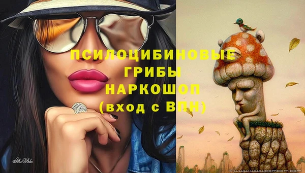 прущая мука Магас