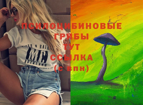 гашик Майский