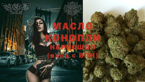 гашик Майский